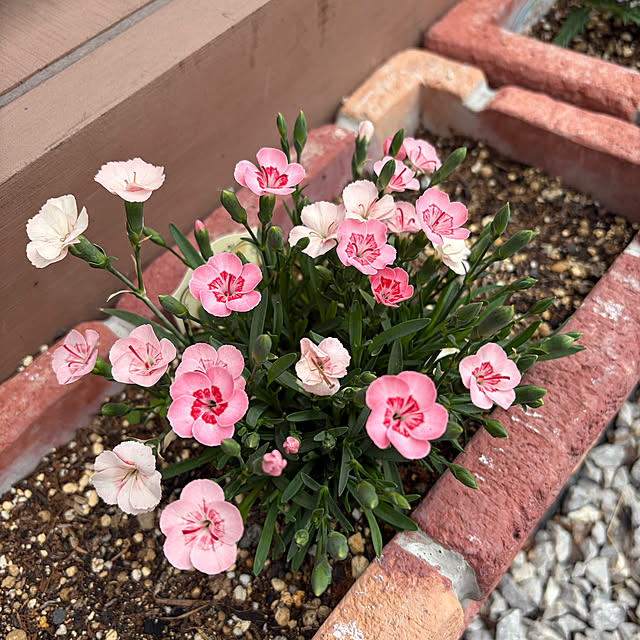 ronronさんの部屋