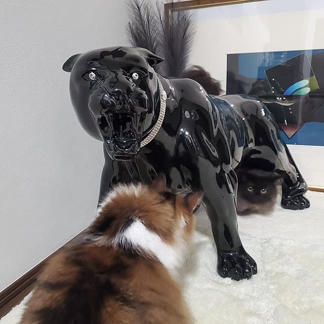 muku+maroさんの部屋