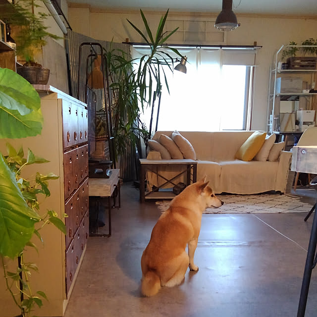 kさんの実例写真