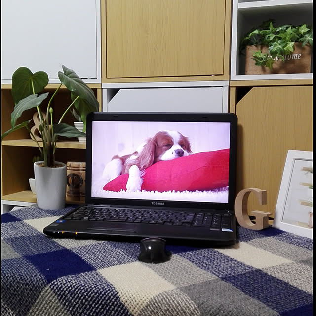 shimonさんの実例写真