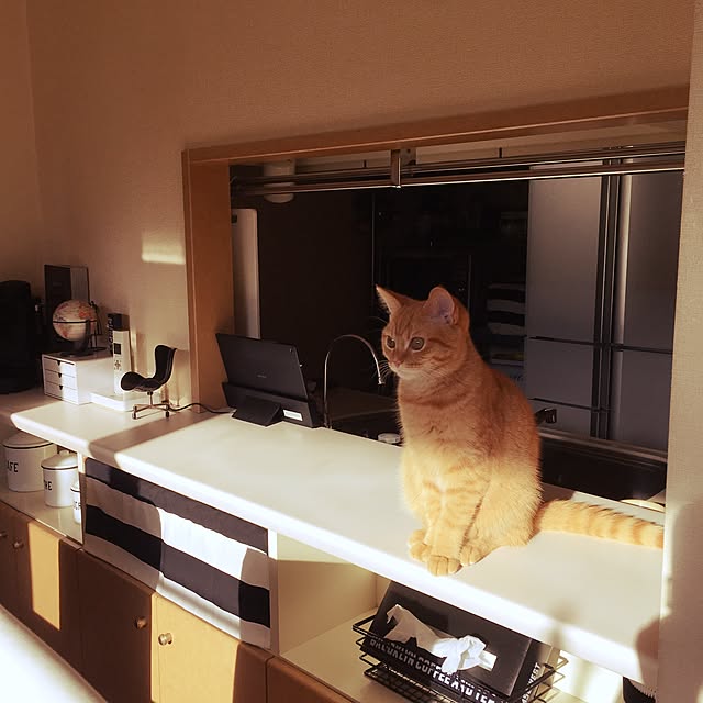 rumiさんの実例写真