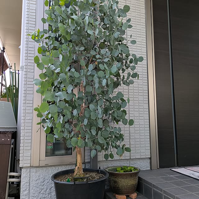 naoさんの実例写真