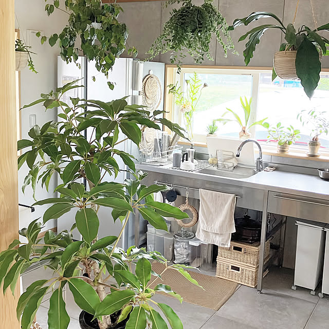 hira_muji_mihiさんの実例写真