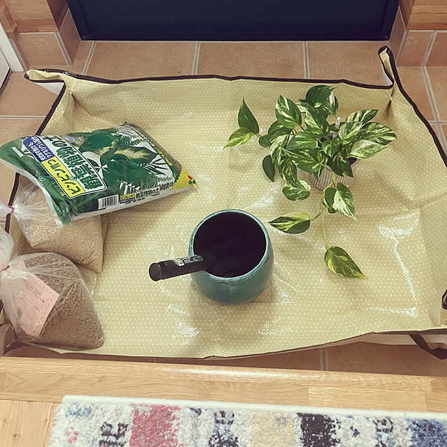 katuさんの実例写真