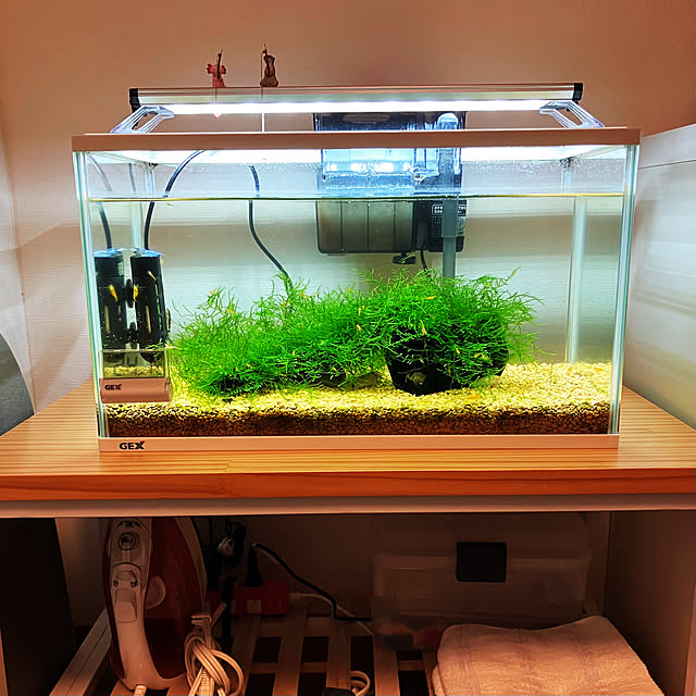 623さんの実例写真