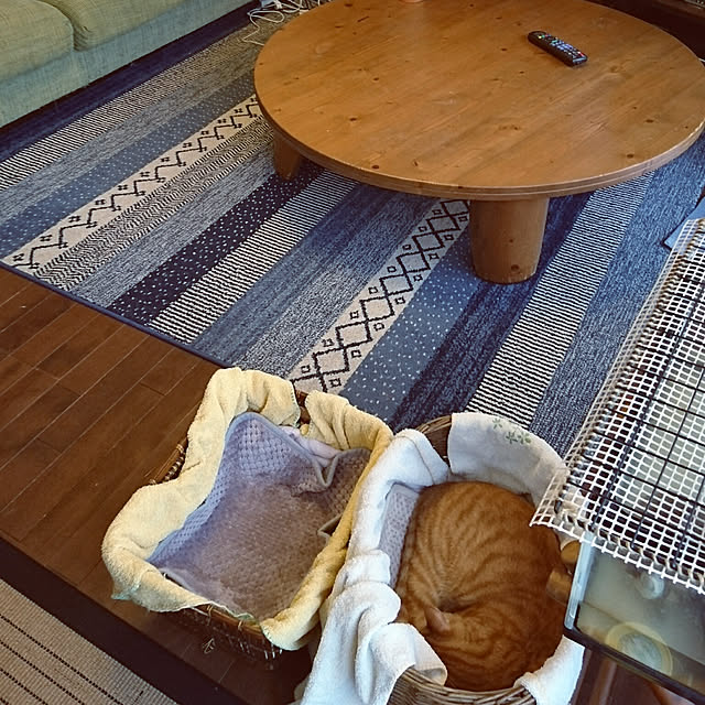 okyosan101さんの実例写真