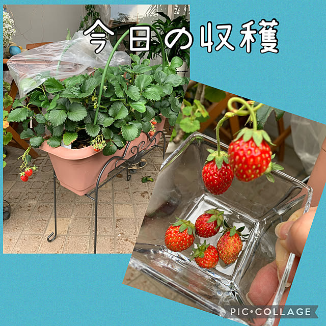 Aqettyさんの部屋
