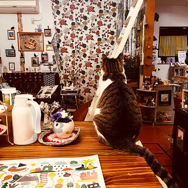 jijiさんの実例写真