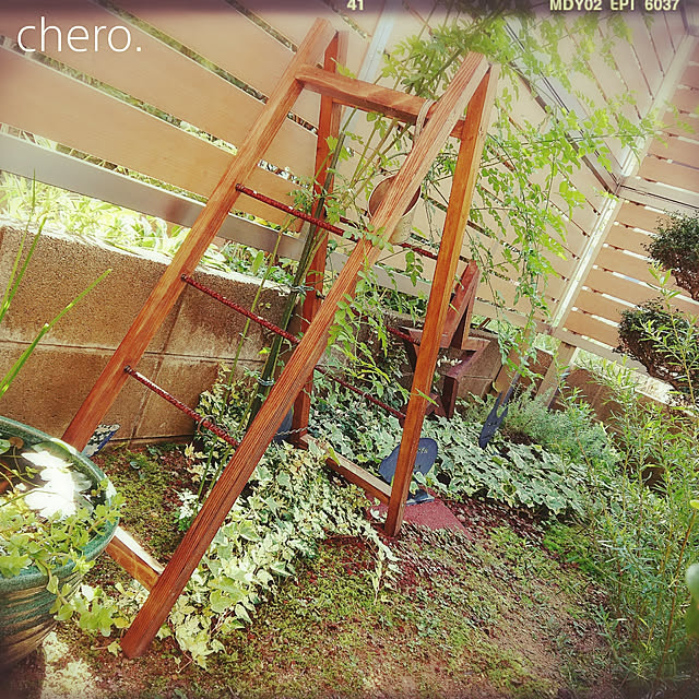 chero.さんの実例写真
