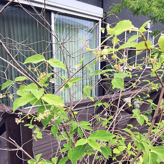pandaさんの実例写真