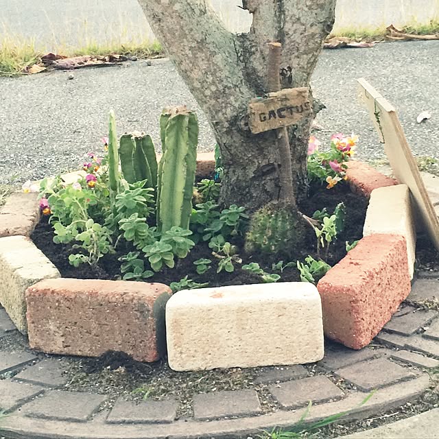 shu_shuさんの実例写真