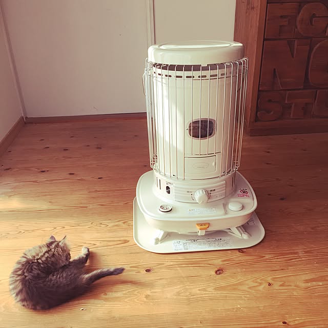 Mikaさんの実例写真