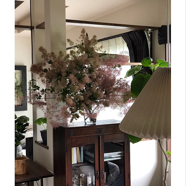 daizさんの実例写真