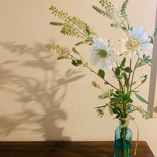 Riekoさんの実例写真
