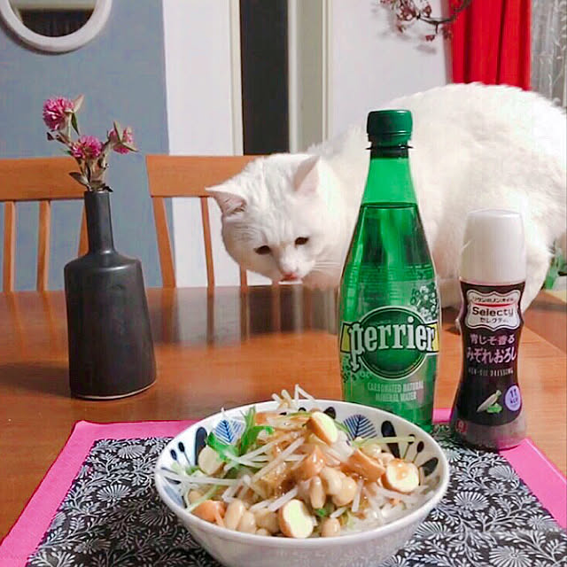 nyanko-beamさんの実例写真