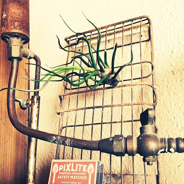 edenさんの実例写真