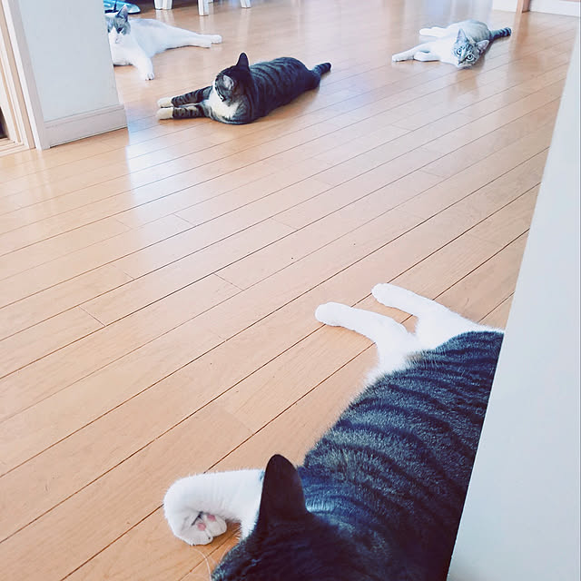 milkcocoaさんの実例写真