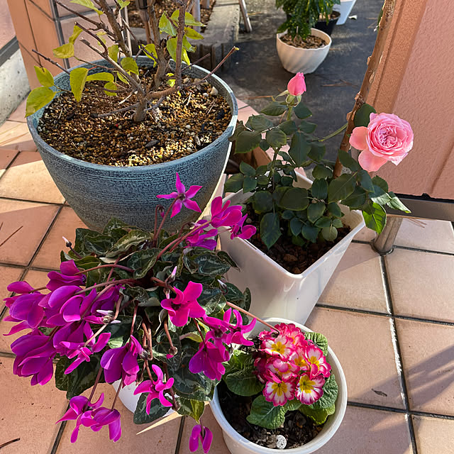 kakoさんの実例写真