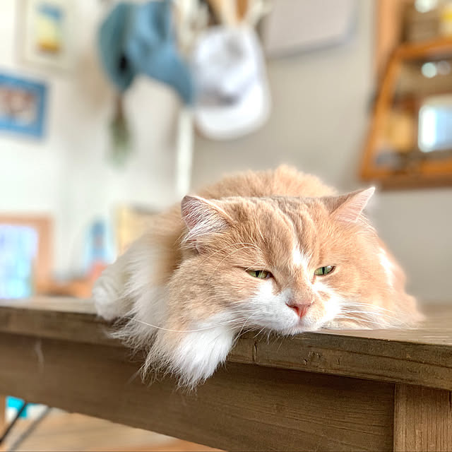 maruさんの実例写真