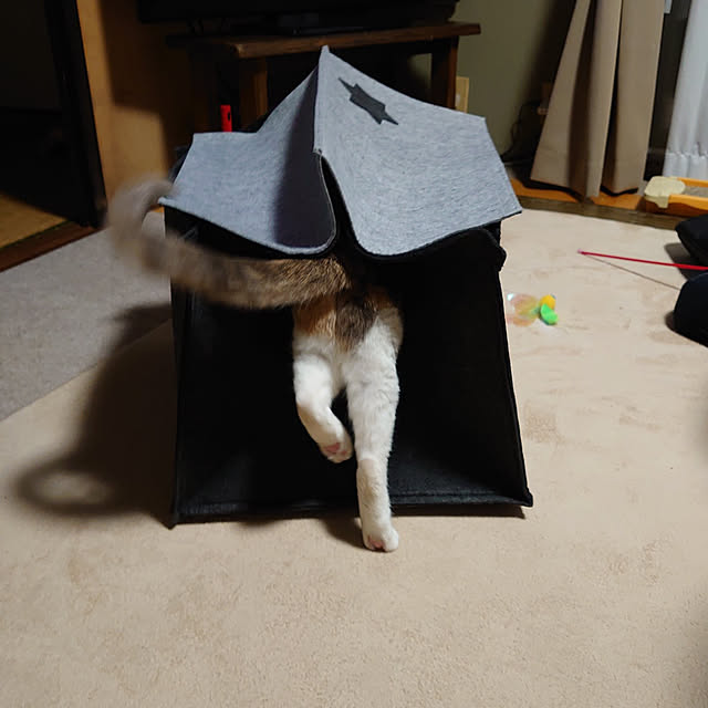 fukuさんの実例写真