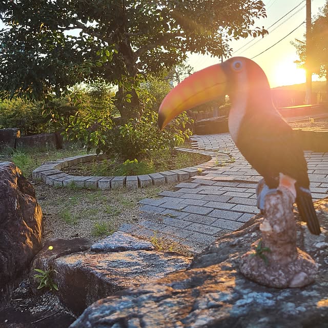 Rubiconさんの実例写真