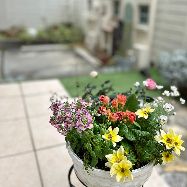 kuraさんの部屋