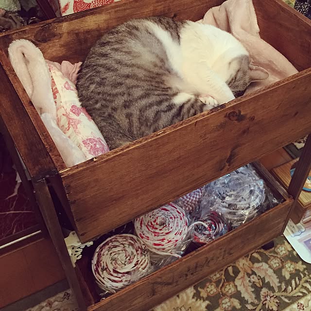emmyyさんの実例写真