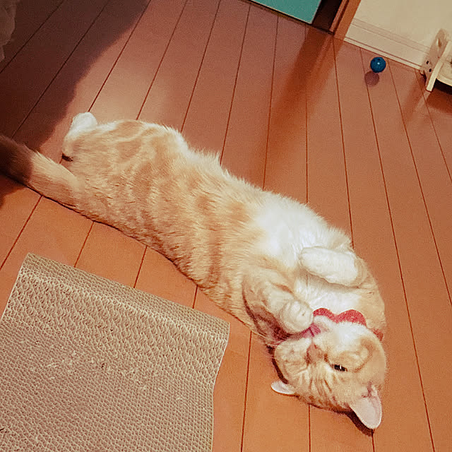 moolさんの部屋