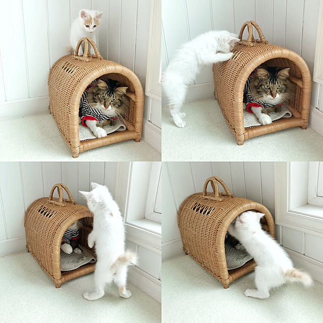yuchiさんの実例写真