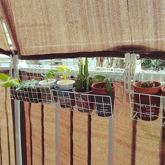 runaさんの部屋