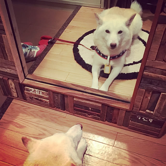 ma2さんの実例写真