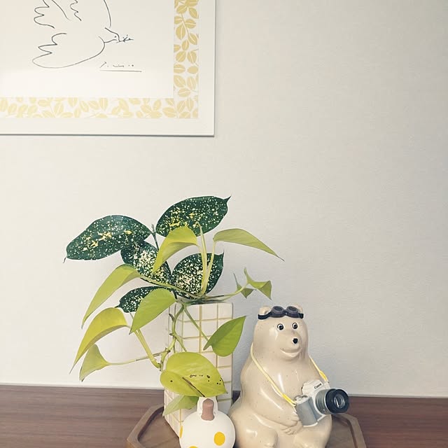 tan5さんの実例写真