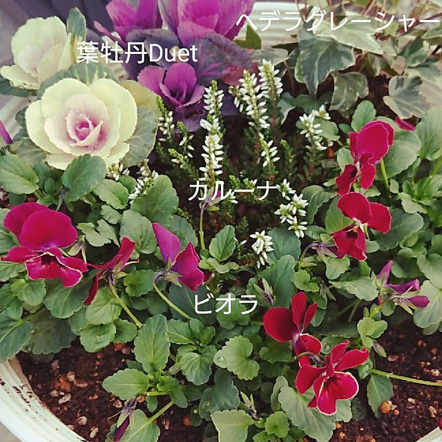 yuzu-chanさんの実例写真