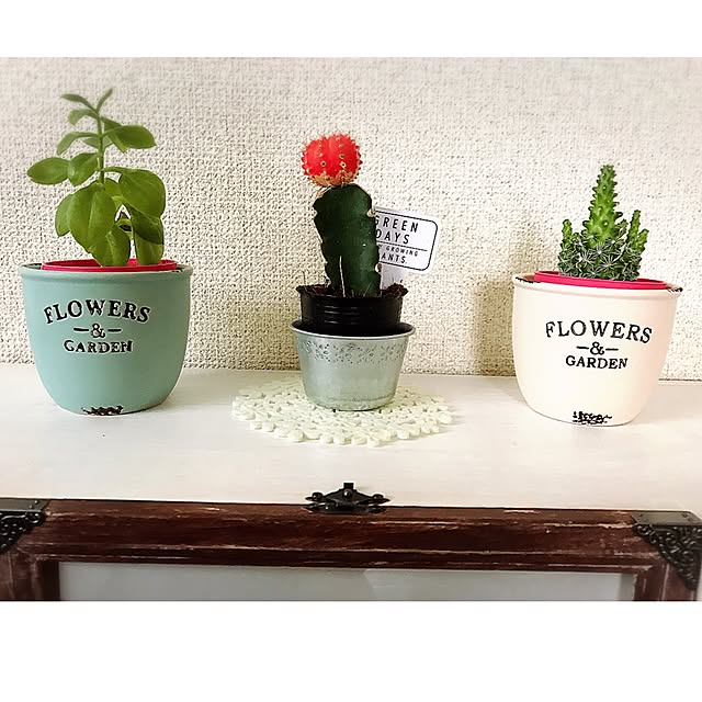 nonさんの実例写真