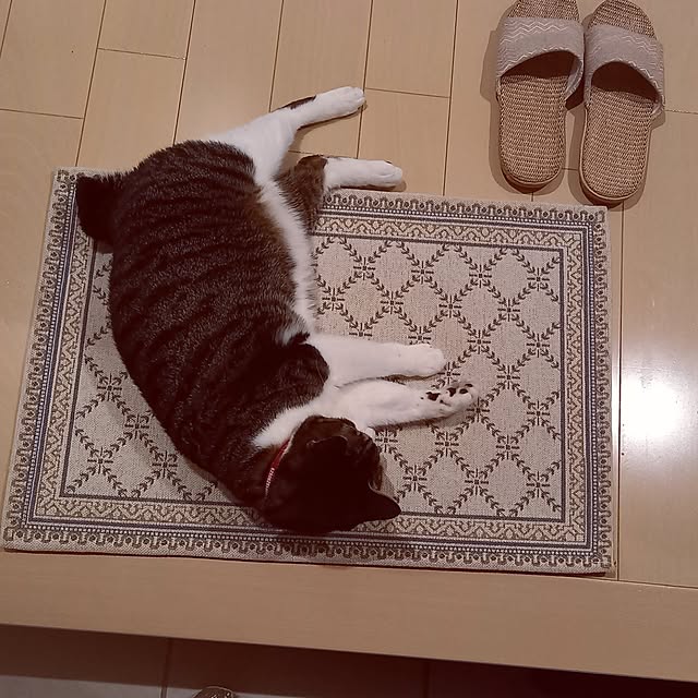 civicglさんの部屋