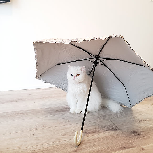 babyLEMONさんの実例写真
