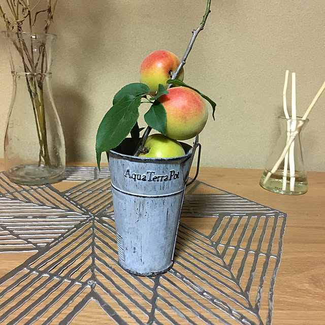 satoさんの実例写真