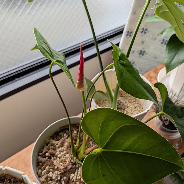 kolo92さんの部屋