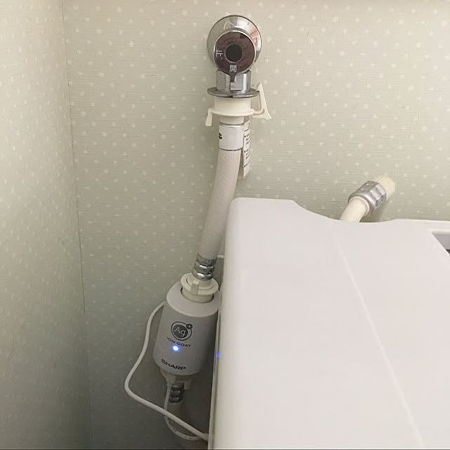 ayumiさんの実例写真