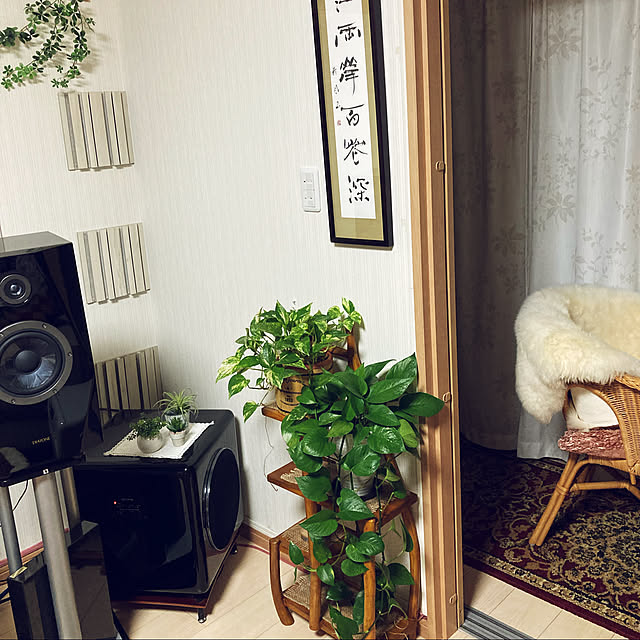 momokaさんの実例写真