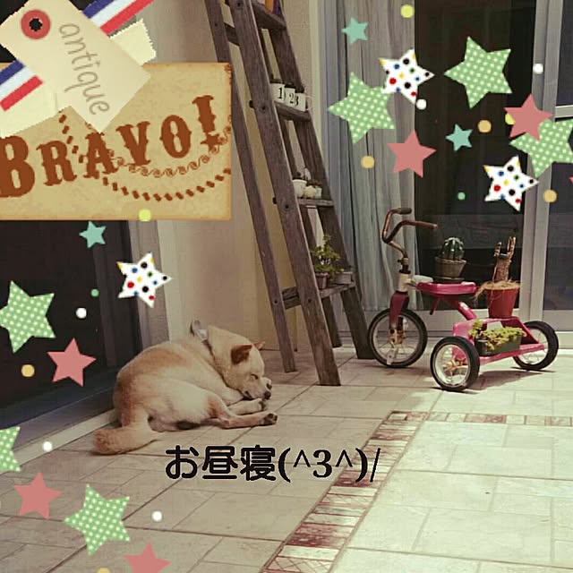 bu-bu-chanさんの実例写真