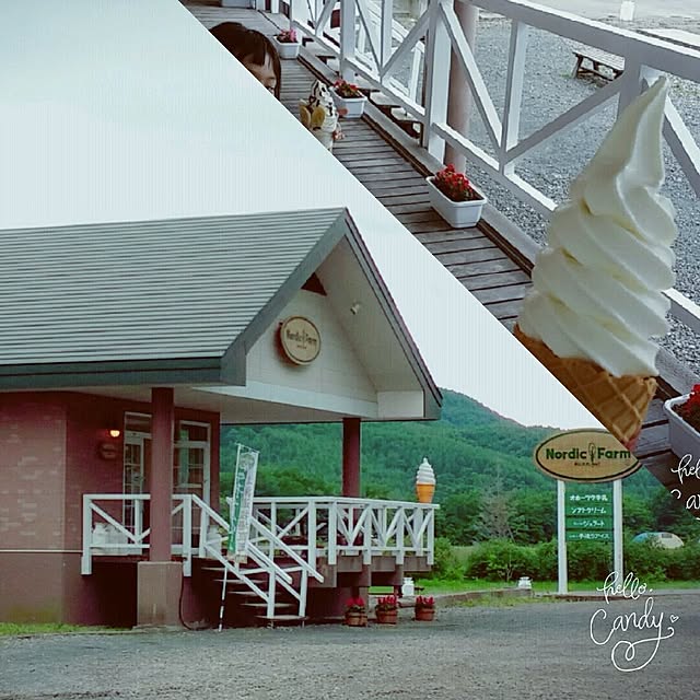 実例写真