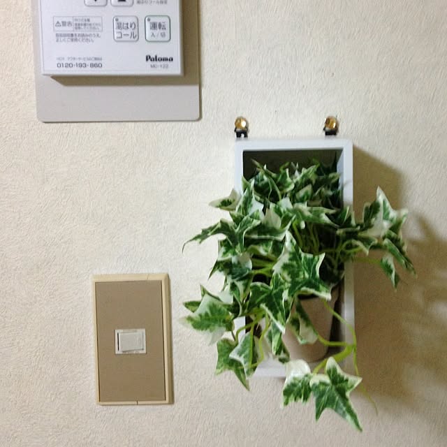 momoeさんの実例写真