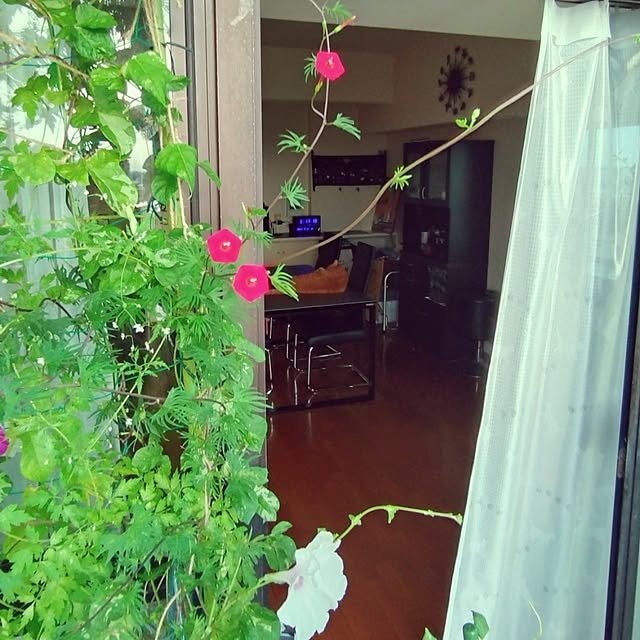 NOAHさんの部屋