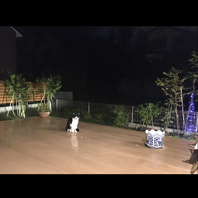 surfmoonさんの実例写真