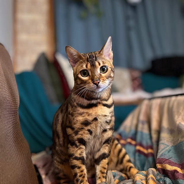 tututu0204さんの部屋