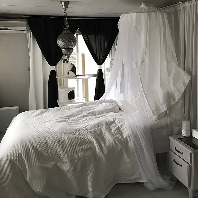 Shihoさんの実例写真