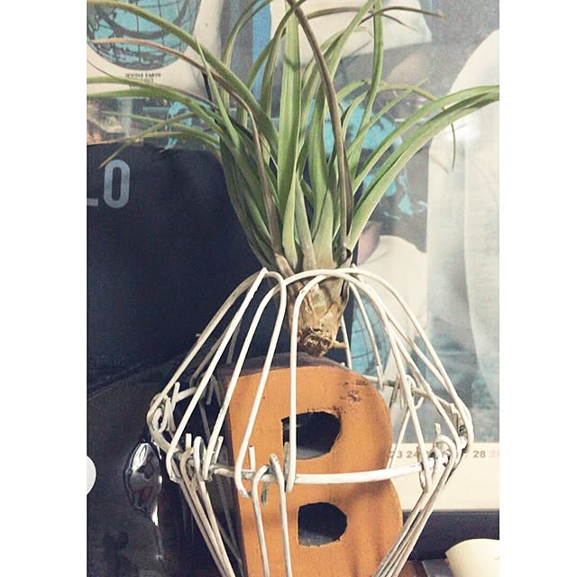 jun.coさんの実例写真