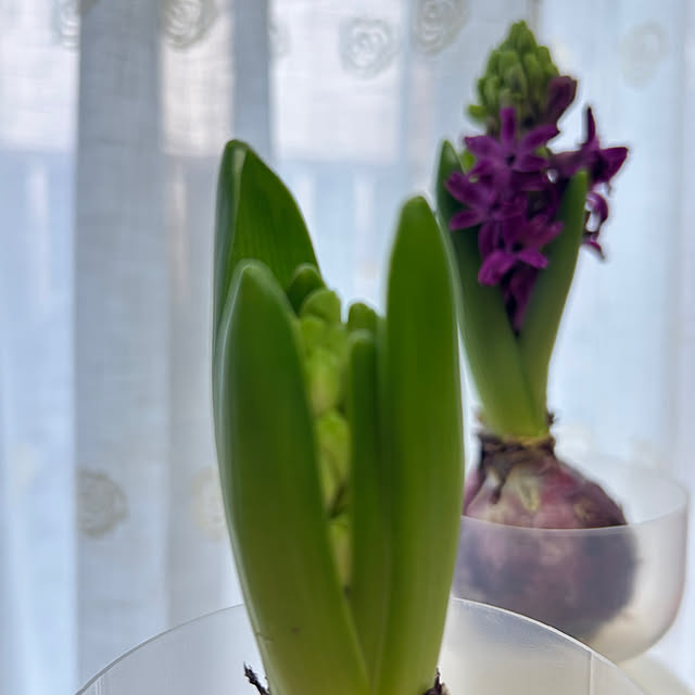 fumikoiさんの部屋