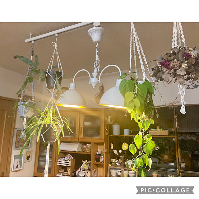 CoCo0617さんの部屋